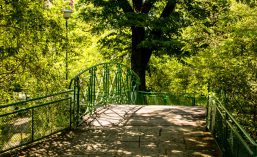 Park Sołacki, Jezioro Rusałka, Ogród Botaniczny – tak blisko Kamienicy Jeżyce…