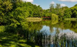 Park Sołacki, Jezioro Rusałka, Ogród Botaniczny – tak blisko Kamienicy Jeżyce…
