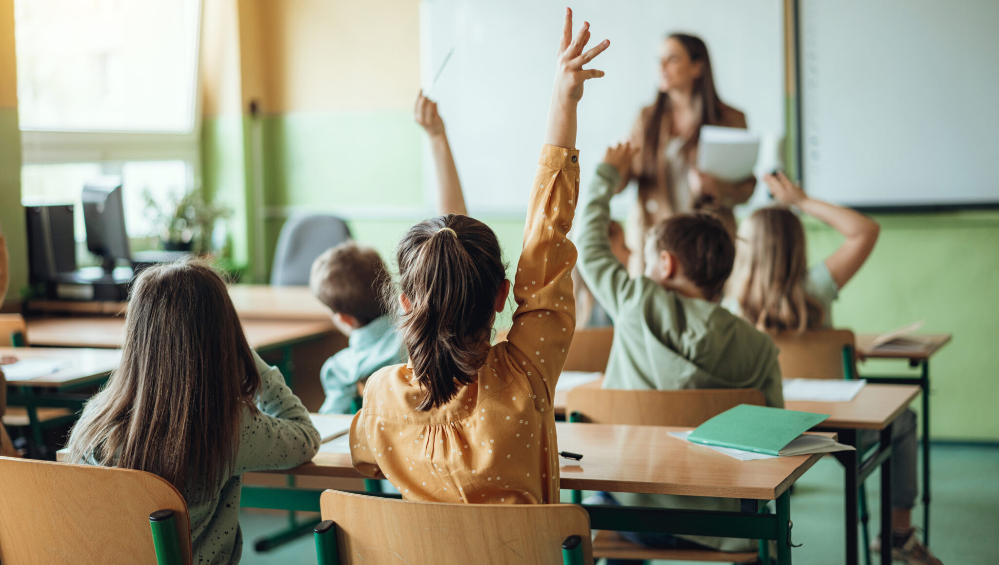 startowo-dzielnica-zakrzow-oferta-edukacyjna